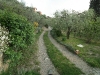 boulevard