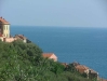 cervo0.jpg