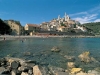 cervo1.jpg