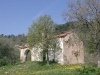 Diano Arentino