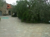 cortile