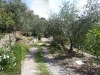 panorama-cancello_picc